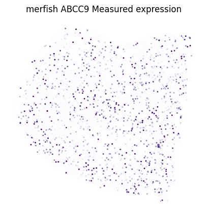 ../_images/notebooks_3_gene_spatial_imputation_10_0.png