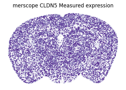 ../_images/notebooks_3_gene_spatial_imputation_12_1.png